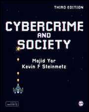 Cybercrime and Society