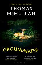 Groundwater: ‘Complex, chilling, masterful' Financial Times
