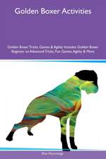 Golden Boxer Activities Golden Boxer Tricks, Games & Agility Includes