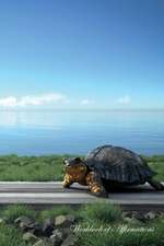 Road Turtle Workbook of Affirmations Road Turtle Workbook of Affirmations