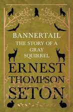 Bannertail - The Story of a Gray Squirrel