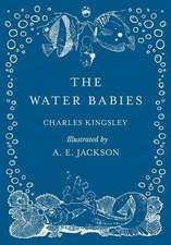 The Water Babies - Illustrated by A. E. Jackson