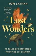 Lost Wonders