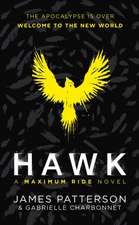 Patterson, J: Hawk: A Maximum Ride Novel