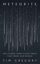 Meteorite: The Stones From Outer Space That Made Our World