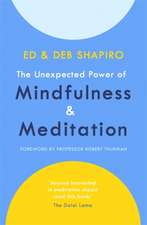 Shapiro, E: The Unexpected Power of Mindfulness and Meditati