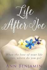 Life After Joe