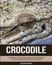 Crocodile