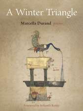 A Winter Triangle