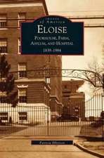 Eloise: Poorhouse, Farm, Asylum and Hospital 1839-1984