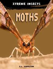 Moths