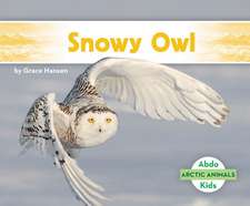 SNOWY OWL