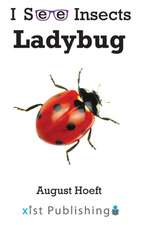 Ladybug