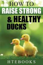 How to Raise Strong & Healthy Ducks