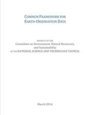 Common Framework for Earth-Observation Data