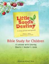 Little Seed's Destiny Children's Curriculum