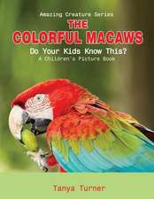 The Colorful Macaws