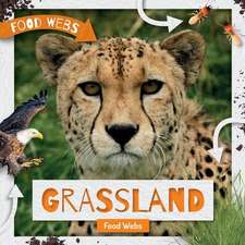 Grassland Food Webs