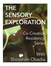 The Sensory Exploration