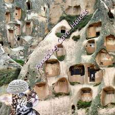 Amazing Cave-Houses