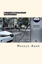 E-Mobilitat in Deutschland Beschleunigen