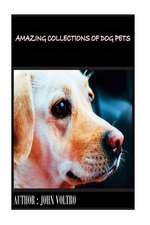 Amazing Collections of Dog Pets