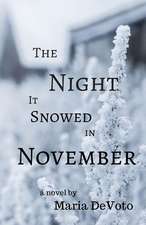 The Night It Snowed in November