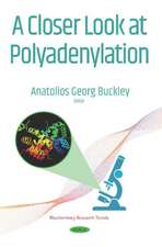 Closer Look at Polyadenylation