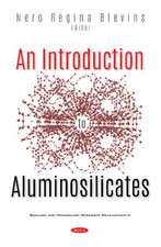 Introduction to Aluminosilicates