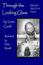 Through the Looking Glass, (and What Alice Found There)