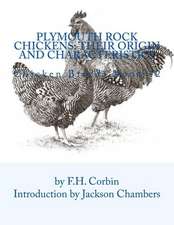 Plymouth Rock Chickens