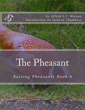 The Pheasant