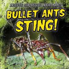 Bullet Ants Sting!