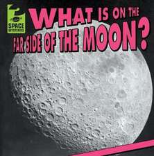 What Is on the Far Side of the Moon?