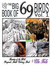 The Big Book of 69 Birds