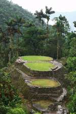 Main Terraces and Frog Stone in Ciudad Perdida (Lost City) Columbia Journal