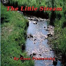 The Little Stream