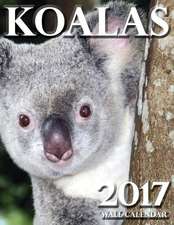 Koalas 2017 Wall Calendar