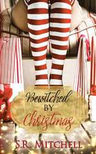 Bewitched by Christmas