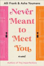 Never Meant to Meet You