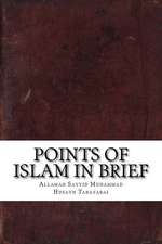 Points of Islam in Brief