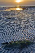 Tranquil Sunrise Over Reculver Beach Kent England UK Journal