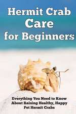 Hermit Crab Care for Beginners