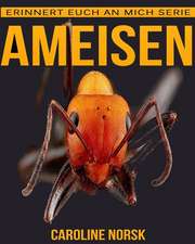 Ameisen