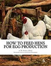 How to Feed Hens for Egg Production