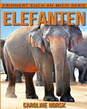 Elefanten