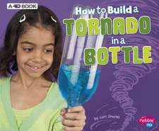 How to Build a Tornado in a Bottle