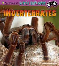 Invertebrates