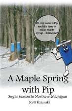 A Maple Spring with Pip