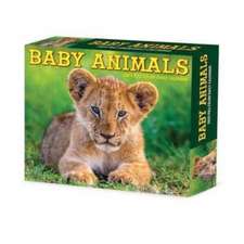 Baby Animals 2025 6.2 X 5.4 Box Calendar